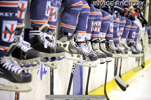 2015-02-15 Hockey Milano Rossoblu U12-Valpellice 0319 Squadra
